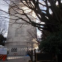 公園の様子です。