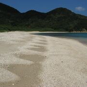 加計呂麻島北部で屈指の綺麗なビーチ