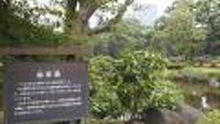 都心の癒しスポット