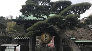 造立1300年