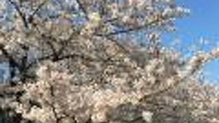 南津守中央公園