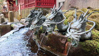 初めての箱根神社！