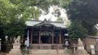 見事なさざれ石