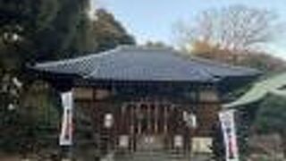 銀杏並木があります