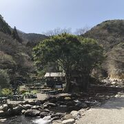 須雲川の清流に癒される