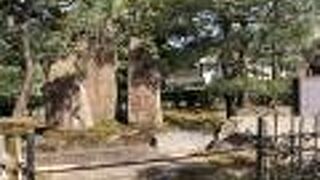 建仁寺境内にあります。