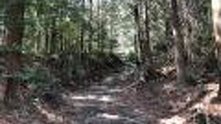 旧街道の石畳の中でも、緑が深いところ