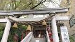 大きな桜のある神社