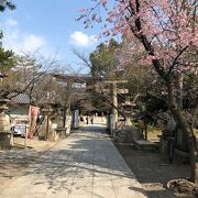 梅の花で有名な天満宮