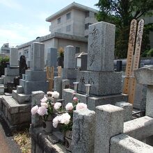 乗泉寺世田谷別院小さん師匠の墓