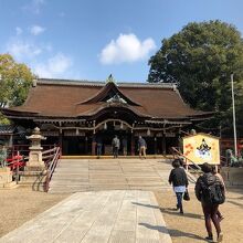 今年の梅は終わっていましたが、多くの参拝者が