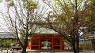 樹齢1000年を超える天然記念物のご神木も