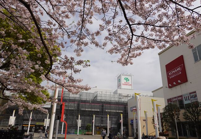 ニッケコルトンプラザ クチコミ アクセス 営業時間 市川 フォートラベル