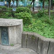 近所に住む子供たちに愛されている児童公園の印象