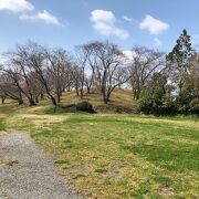 公園のような芝生の丘