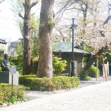 松蔭神社