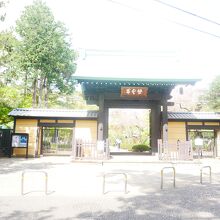 豪徳寺