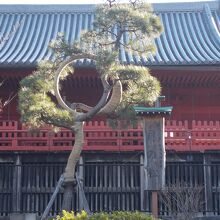 奥が観音堂です。