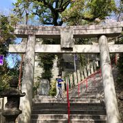 桜散る愛宕山の愛宕神社を訪れました。