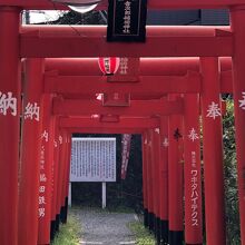 真っ赤な鳥居が続く愛宕音次郎稲荷神社
