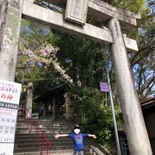 愛宕神社の鳥居