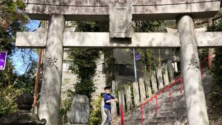 桜散る愛宕山の愛宕神社を訪れました。