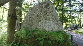 馬をさへなかむる雪のあしたかな