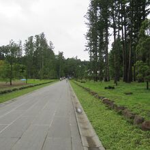 広い境内の参道です。