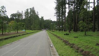 松島の美しい風景には欠かせない寺院です。