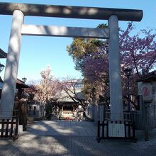 入り口の鳥居です。