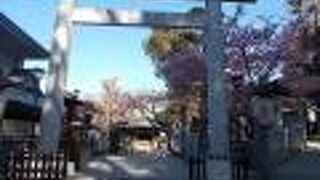 上野恩賜公園の中にあります。