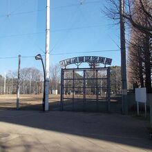 全体の様子です。