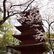 散りゆく桜も美しく、印象的な神社でした