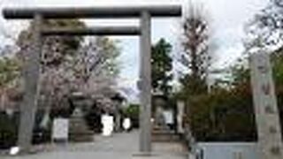 桜と本殿の組み合わせがよい