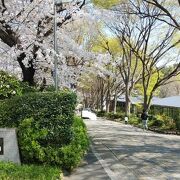 桜の時期がおすすめの公園