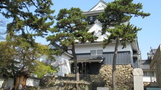 徳川家康生誕の地なのよ