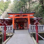 箱根神社境内にあります