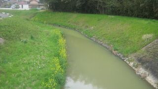 香流川緑地