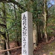 森の中で、澄み切った空気感