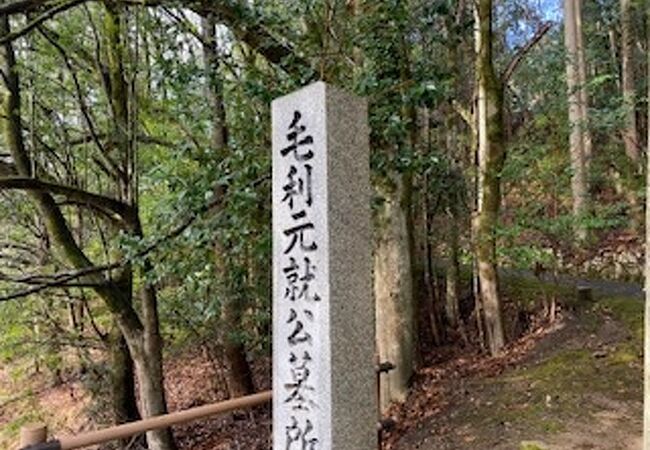 森の中で、澄み切った空気感