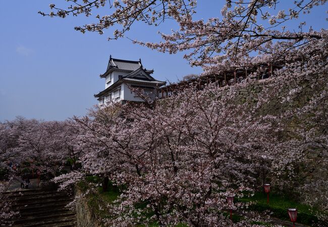 津山のおすすめ観光スポット クチコミ人気ランキングtop フォートラベル 岡山県 津山のおすすめ観光スポット クチコミ人気ランキングtop フォートラベル 岡山県