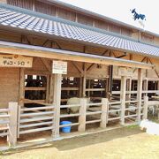 植村牧場 直販コーナー クチコミ・アクセス・営業時間｜奈良市