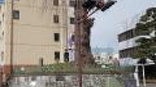 いまは元気な姿