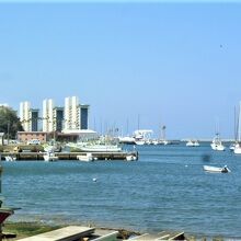 220x220_17895129.jpg?