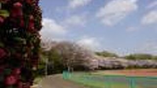 桜をはじめ花の彩りが美しかったです