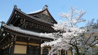 桜シーズンでも楽しめる南禅寺