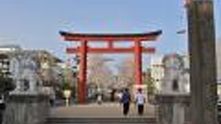 ここから段葛が始まる