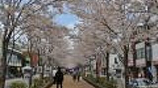 鎌倉らしい風景