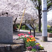 玉川の里石碑と入り口