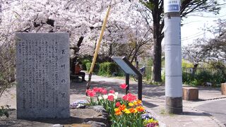 春爛漫～　桜爛漫です　～　玉川の里